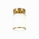 Palwynn | Semi Flush Mounted Light