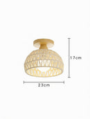 Farlon Une | Semi Flush Mounted Light