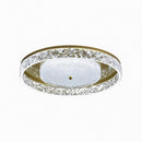 Mcleskey | Ceiling Mounted Light