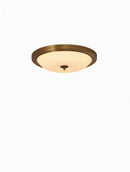 Vylenar | Ceiling Mounted Light