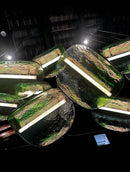 Morvenora I Cluster Chandelier