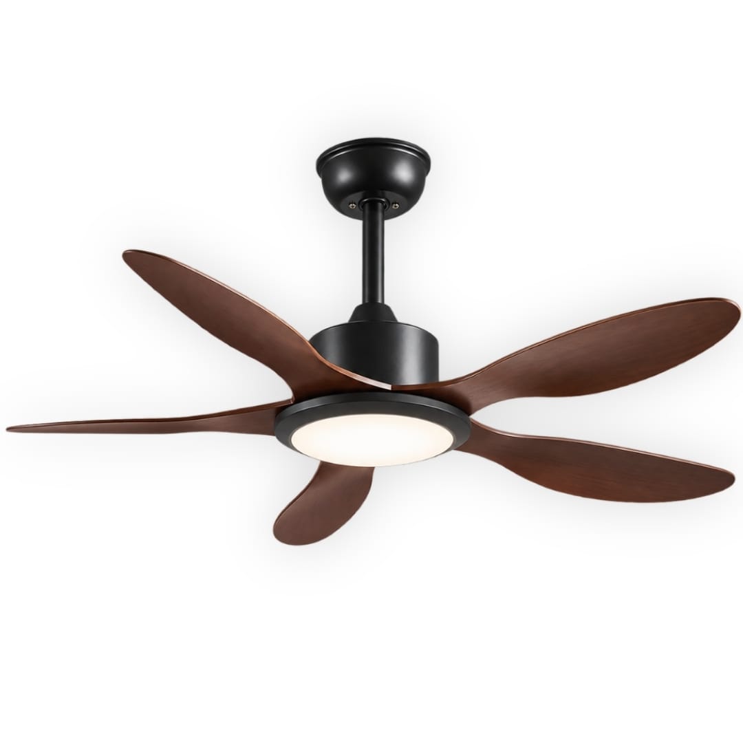Ceiling Fans