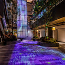 Sedvia | Indoor Linear Light