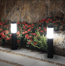 Taisiya | Pathway Light