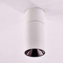 Laroy | Surface Mounted Spotlight