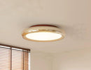 Eindriya I Retro Ceiling Mounted Light