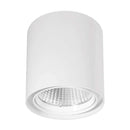 Wyren | Surface Mounted Light