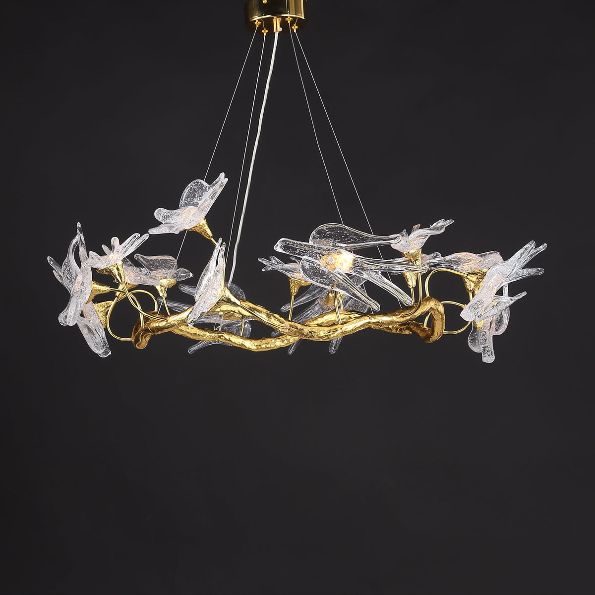 Cifer | Chandelier - Modern Chandelier | HomeCartel Philippines