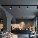 Tanner | Zoom Spotlight