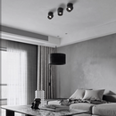 Banjo |  Surface Mounted Spotlight