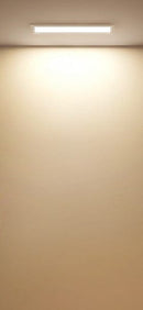 Kashton | Linear Downlight