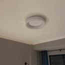 Havoris | Surface Mounted Light