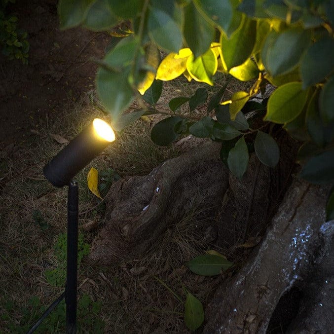 Senna | Garden Light