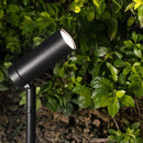 Senna | Garden Light