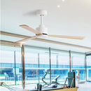 Siofra | Three Blade Ceiling Fan