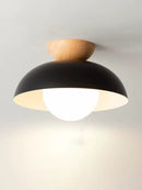 Sivia | Ceiling Mounted Light