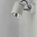 Ruzrial | Outdoor Spotlight