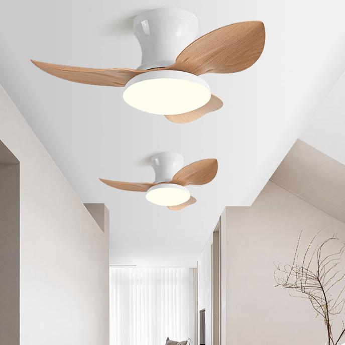 Switzerland | Lighted Ceiling Fan