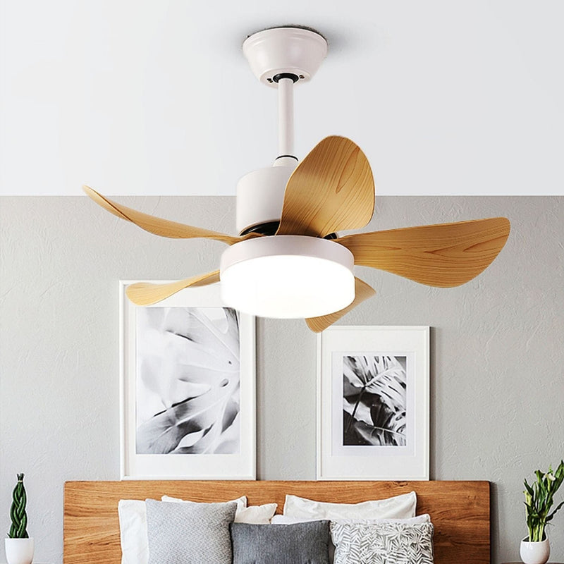 Frankel | Lighted Ceiling Fan