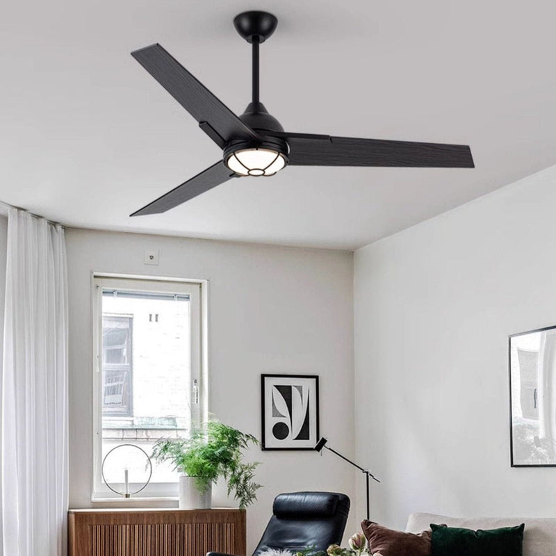 Derozan | Lighted Ceiling Fan