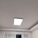 Ruth | Surface Mounted Light