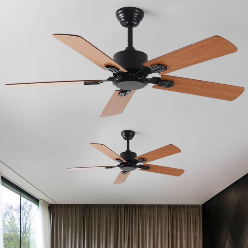 Chamonix | Five Blade Ceiling Fan