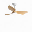 Paso | Lighted Ceiling Fan
