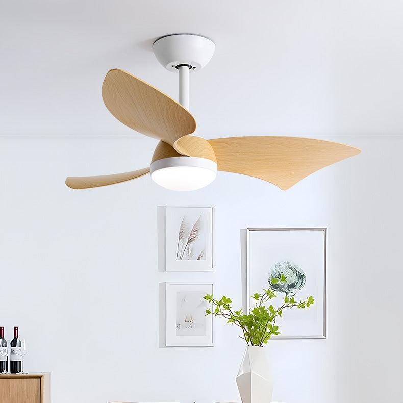 Paso | Lighted Ceiling Fan - Home Cartel ®