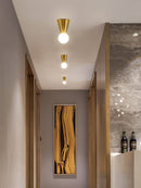Aerik | Ceiling Mounted Light
