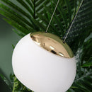 Winfred | Modern Pendant Light