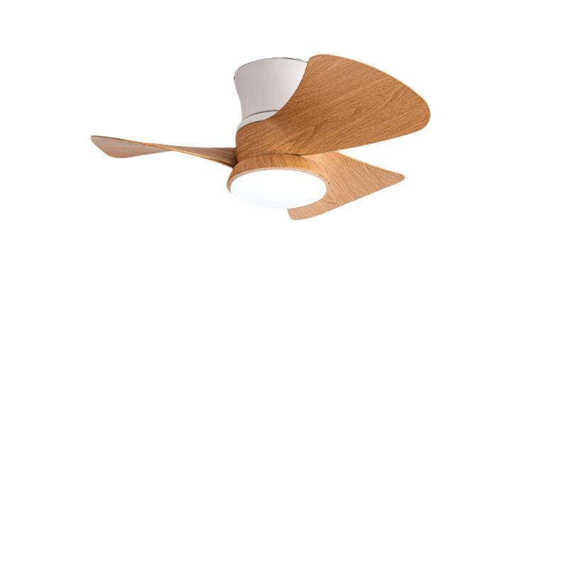 Haston | Lighted Ceiling Fan - Home Cartel ®