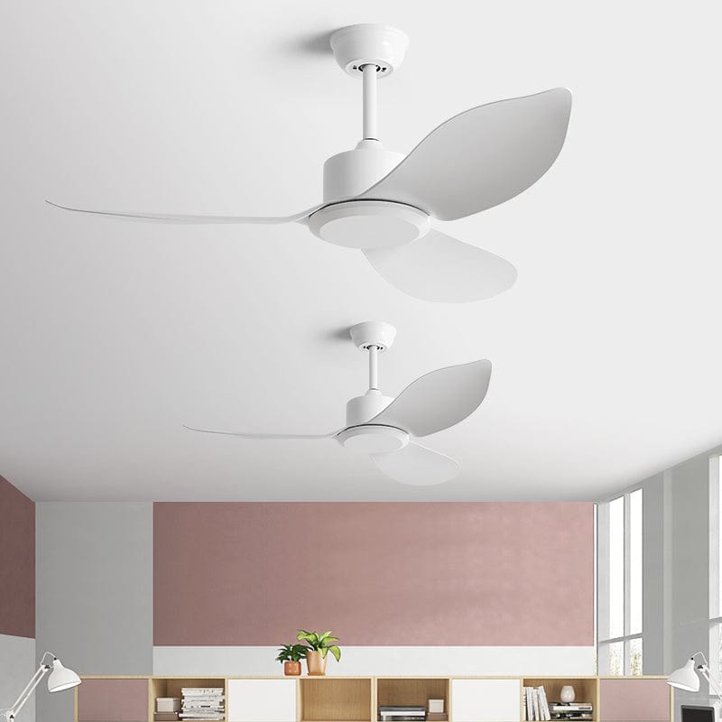 Kioni | Standard Ceiling Fan