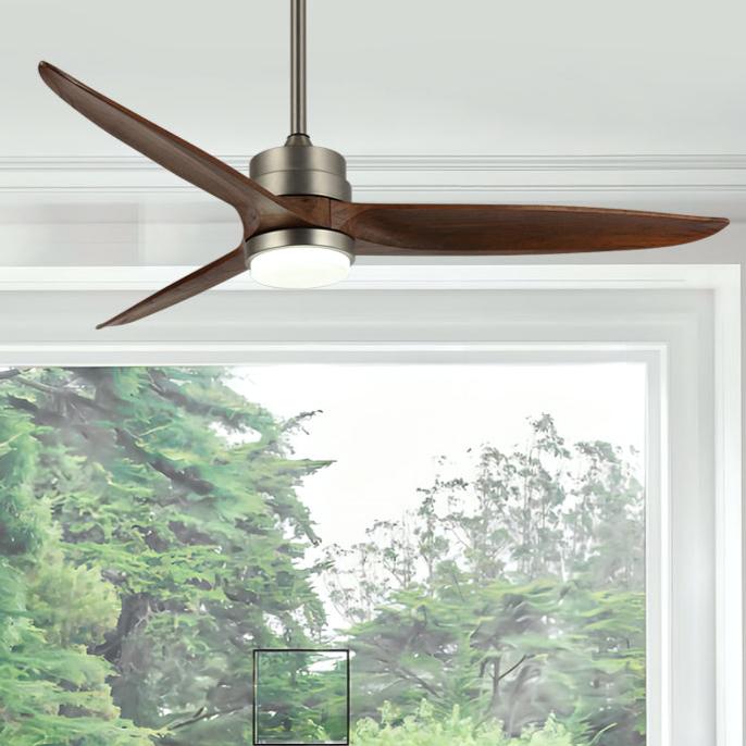 Paulgeorge | Lighted Ceiling Fan