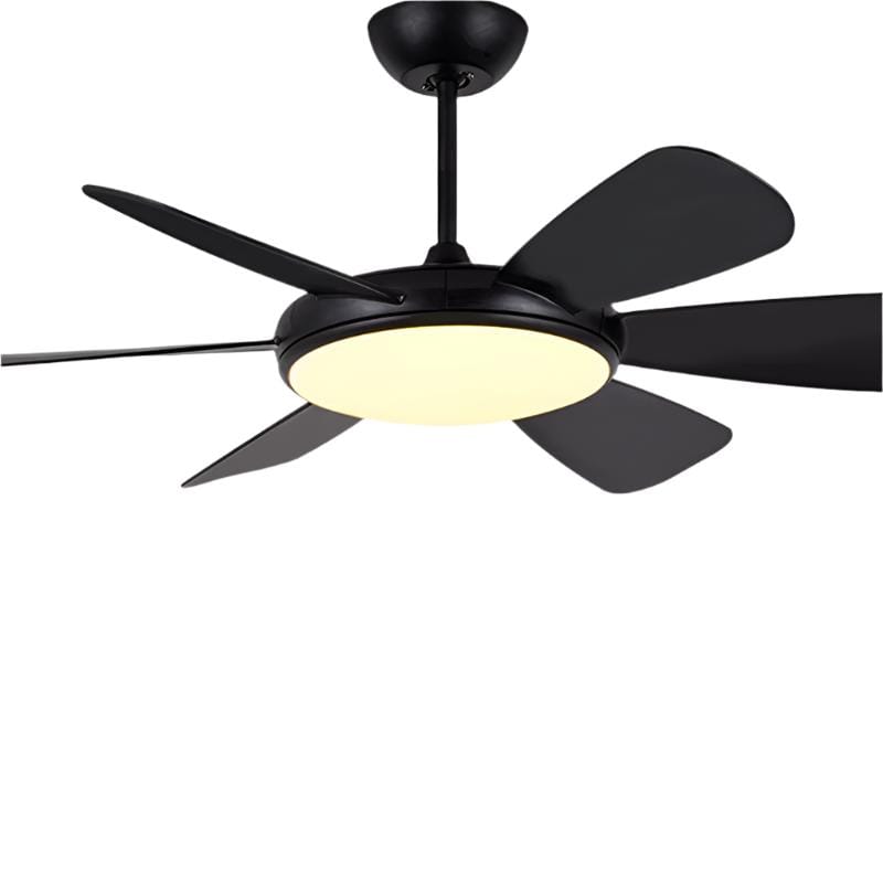 Saske | Lighted Ceiling Fan