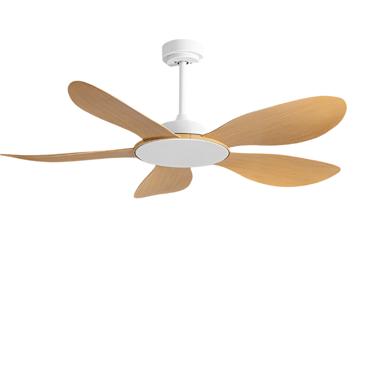 Temika | Standard Ceiling Fan - Modern Standard Ceiling Fan | HomeCartel Philippines
