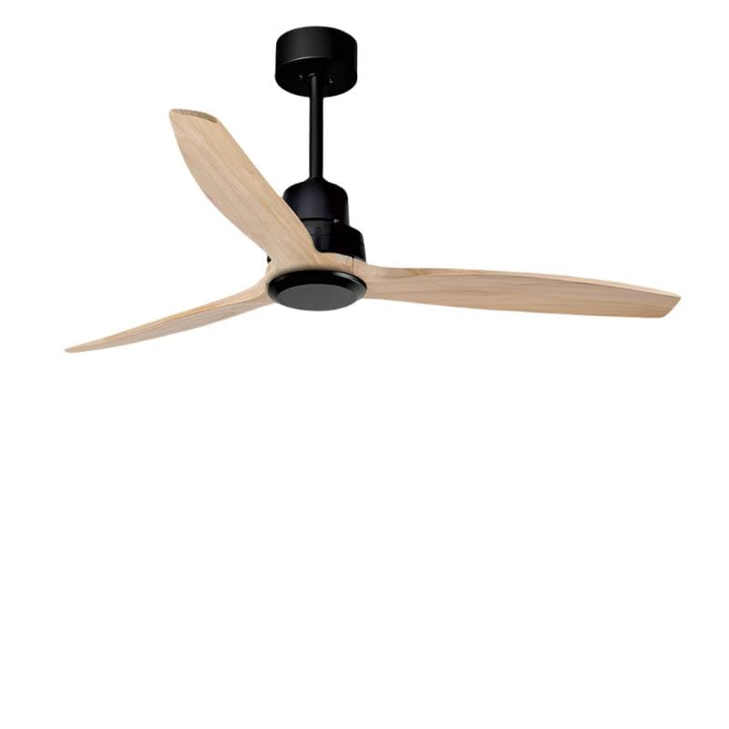 Shaunice | Big Ceiling Fan