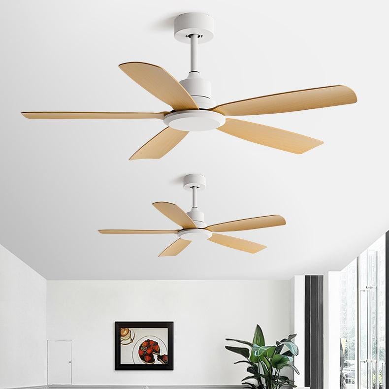 Rafertty | Lighted Ceiling Fan