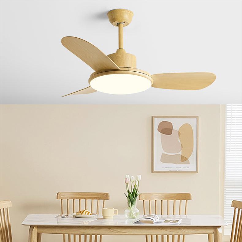 Pedderpine | Lighted Ceiling Fan