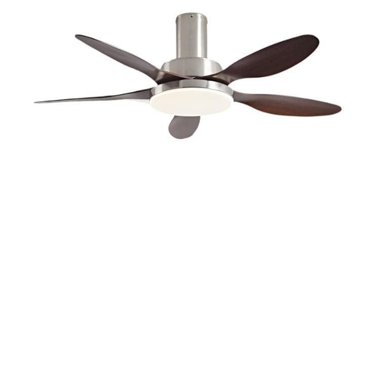 Jasonhart | Lighted Ceiling Fan