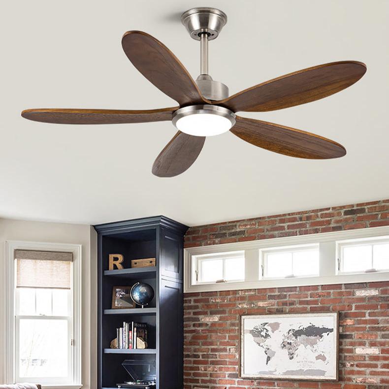 Ximena | Lighted Ceiling Fan