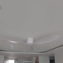 Cintosh | Low Profile Ceiling Fan