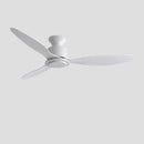 Wagner | Low Profile Ceiling Fan