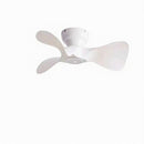 Rochon | Low Profile Ceiling Fan