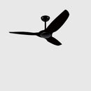 Tardy | Low Profile Ceiling Fan