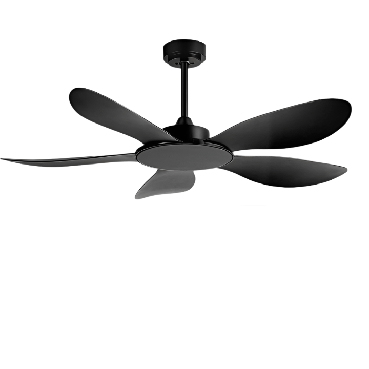 Shoda | Standard Ceiling Fan