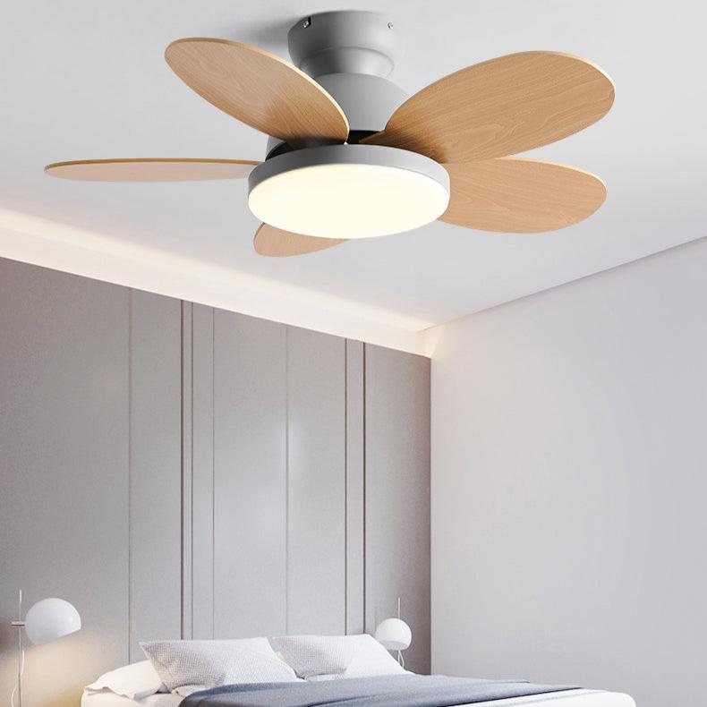 Primrose | Lighted Ceiling Fan