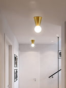 Aerik | Ceiling Mounted Light