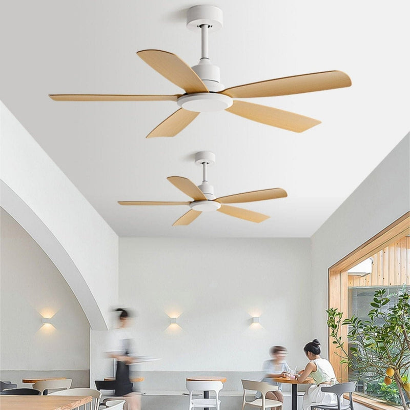 Rafertty | Lighted Ceiling Fan