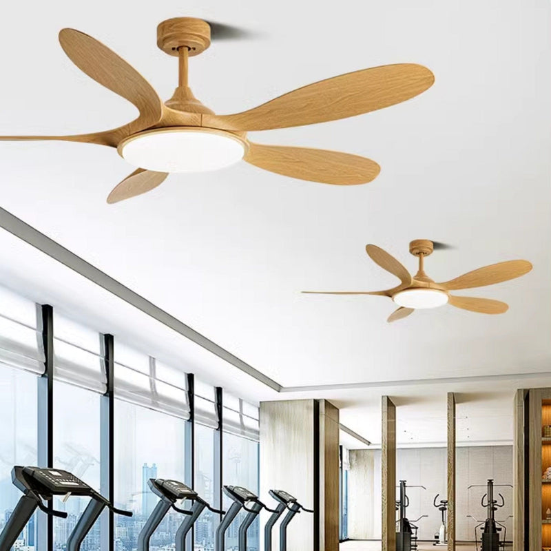 Avaluna | Lighted Ceiling Fan