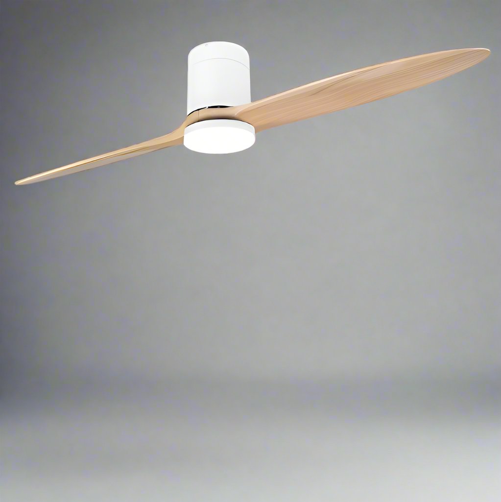 Mesedu | Big Ceiling Fan - Modern Big Ceiling Fan | HomeCartel Philippines
